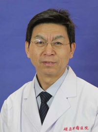 赵登平