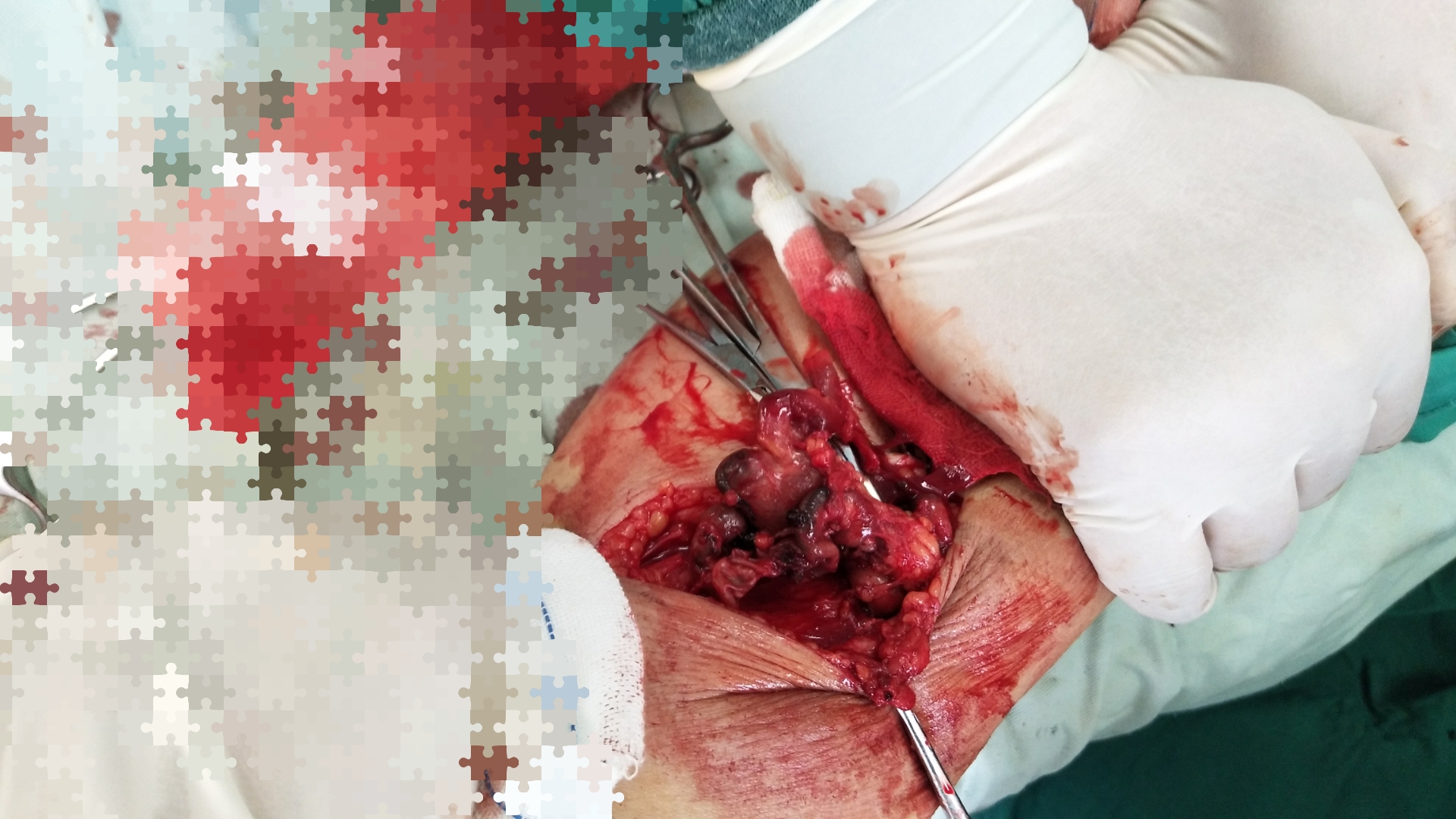 微信图片_20180329162506 微信图片_20180329162506